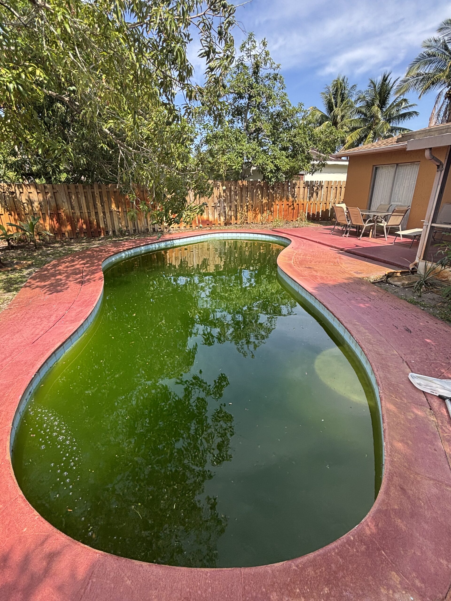 Pool before cleaning service South Florida
